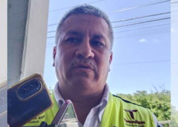 Censo de cocodrilos en la zona conurbada del sur de Tamaulipas alcanza el 60%