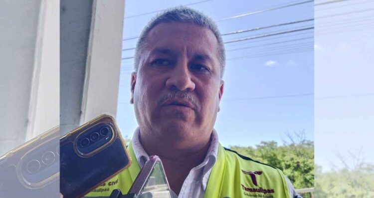Censo de cocodrilos en la zona conurbada del sur de Tamaulipas alcanza el 60%