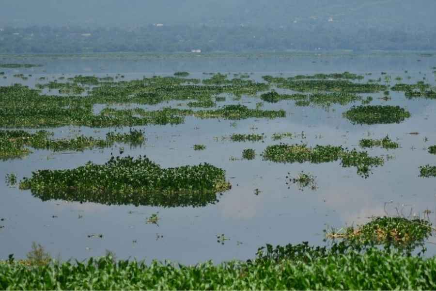Coordinador del PRI señala posibles afectaciones a familias por reforma de Ley de Aguas en México