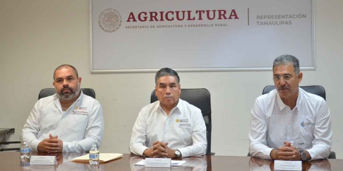 Delegado de Agricultura en Tamaulipas opta por destacar apoyos en vez de comentar protestas