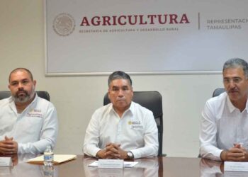 Delegado de Agricultura en Tamaulipas opta por destacar apoyos en vez de comentar protestas