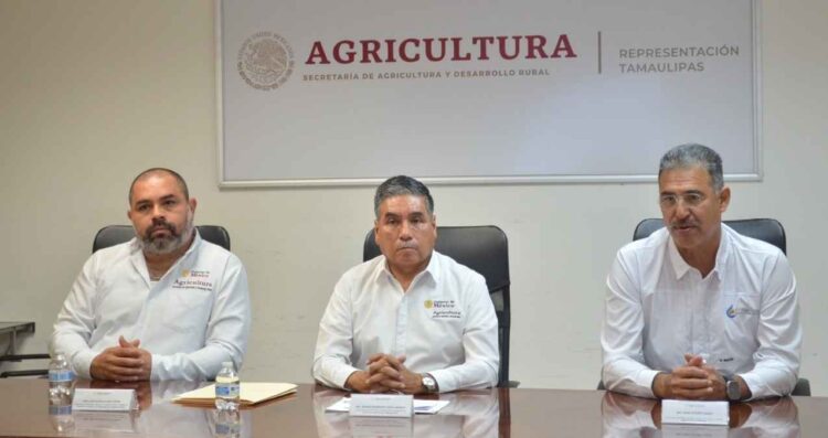 Delegado de Agricultura en Tamaulipas opta por destacar apoyos en vez de comentar protestas