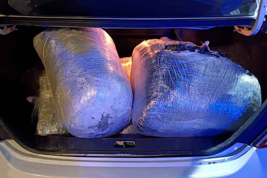 Operativo del Plan Michoacán detiene a individuo con 30 kilos de mariguana
