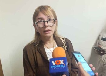 Diputada Magaly Deandar pide evitar abusos tras nueva norma de grúas en Tamaulipas