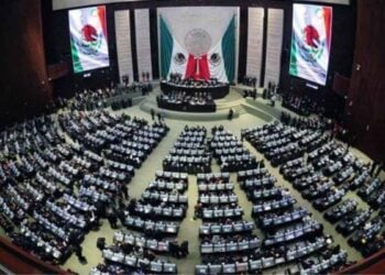 Diputados aprueban 9 reformas en menos de 3 horas Salud, ecología y derechos humanos