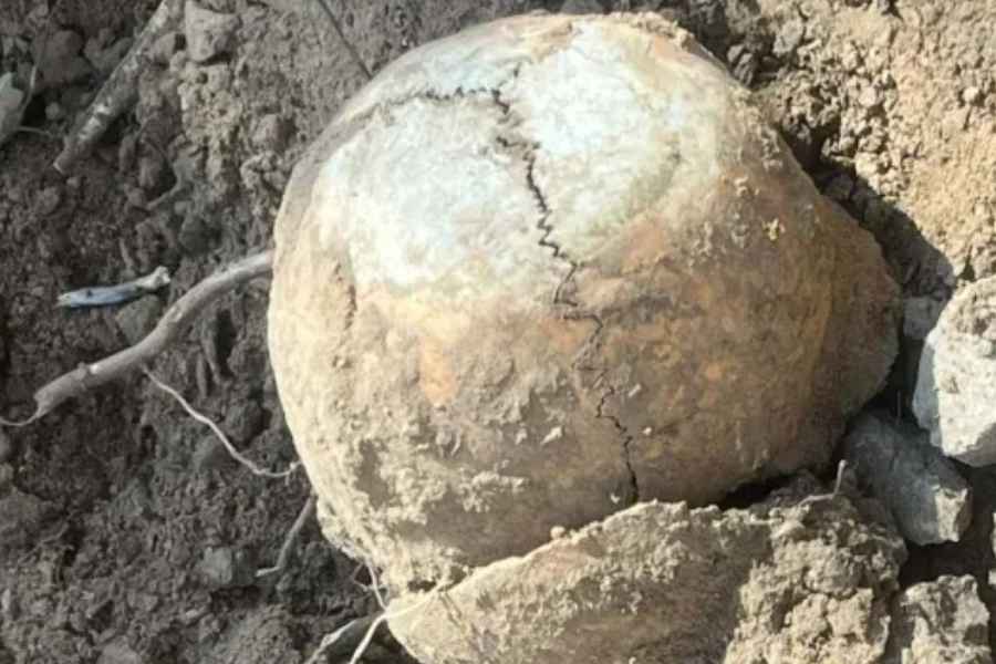 Hallan cráneo humano enterrado en secundaria de Tlaxcala