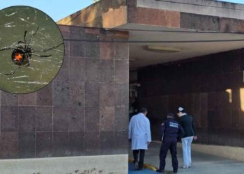 IMSS Nuevo León rechaza muerte de mujer picada por araña por falta de antídoto,