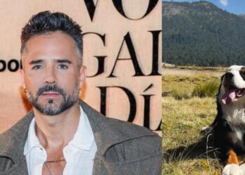 José Ron comparte emotivo mensaje por la muerte de su mascota