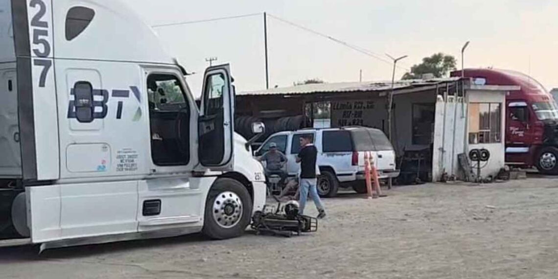 intrépidas jovencitas tráiler Linares