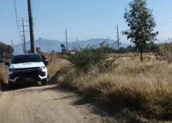 Jóvenes aparecen sin vida con heridas de arma de fuego en camino vecinal de Silao, Guanajuato