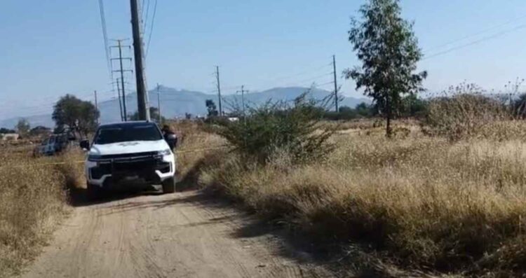 Jóvenes aparecen sin vida con heridas de arma de fuego en camino vecinal de Silao, Guanajuato