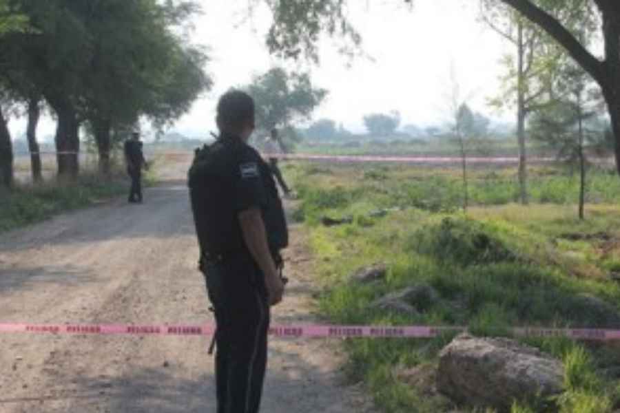  Jóvenes aparecen sin vida con heridas de arma de fuego en camino vecinal de Silao, Guanajuato