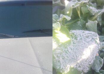 Miquihuana, amanece con -6.7 °C y pinta de blanco la Sierra Madre en Tamaulipas