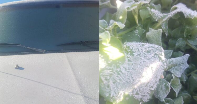 Miquihuana, amanece con -6.7 °C y pinta de blanco la Sierra Madre en Tamaulipas