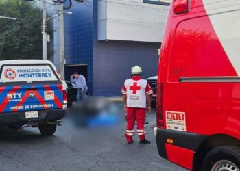 repartidor Monterrey camioneta