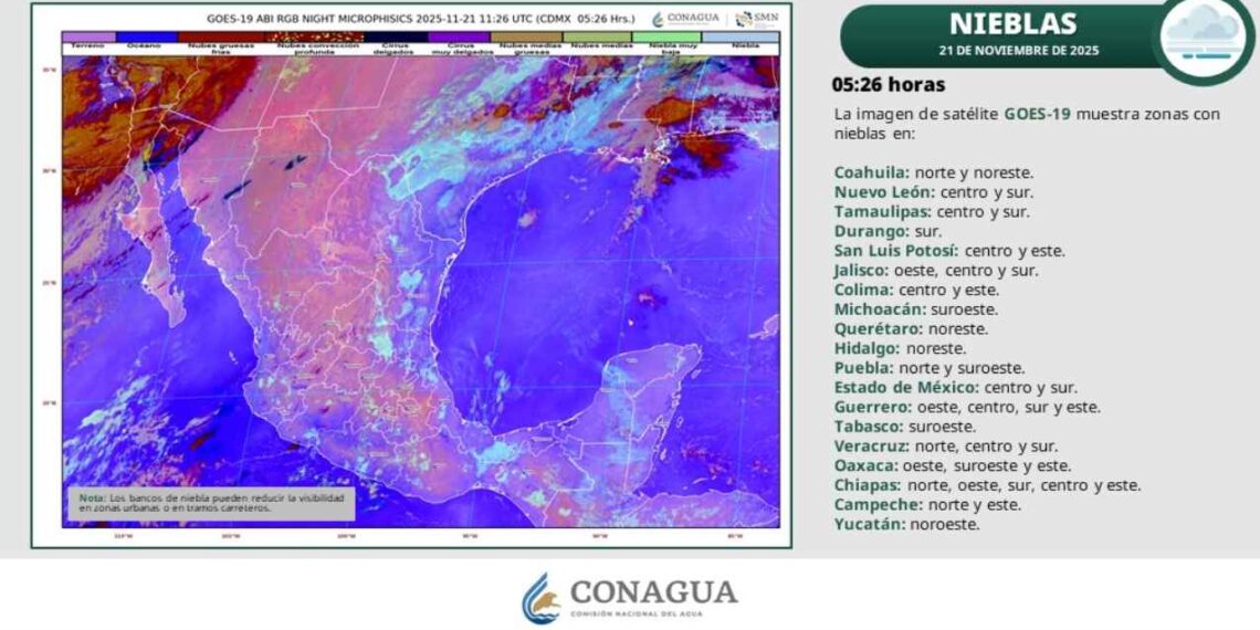 Pronóstico del clima para Tamaulipas: ¿Seguirá afectando el frente frío 15?