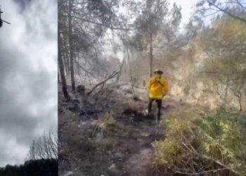 Protección Civil sofoca incendio forestal en Dr. Arroyo, Nuevo León