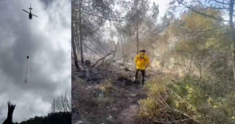 Protección Civil sofoca incendio forestal en Dr. Arroyo, Nuevo León