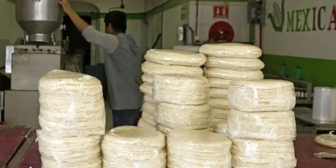 SEP y Sader lanzan certificación oficial para operar tortillerías en México