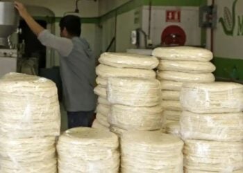 SEP y Sader lanzan certificación oficial para operar tortillerías en México