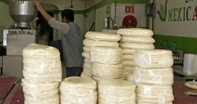 SEP y Sader lanzan certificación oficial para operar tortillerías en México