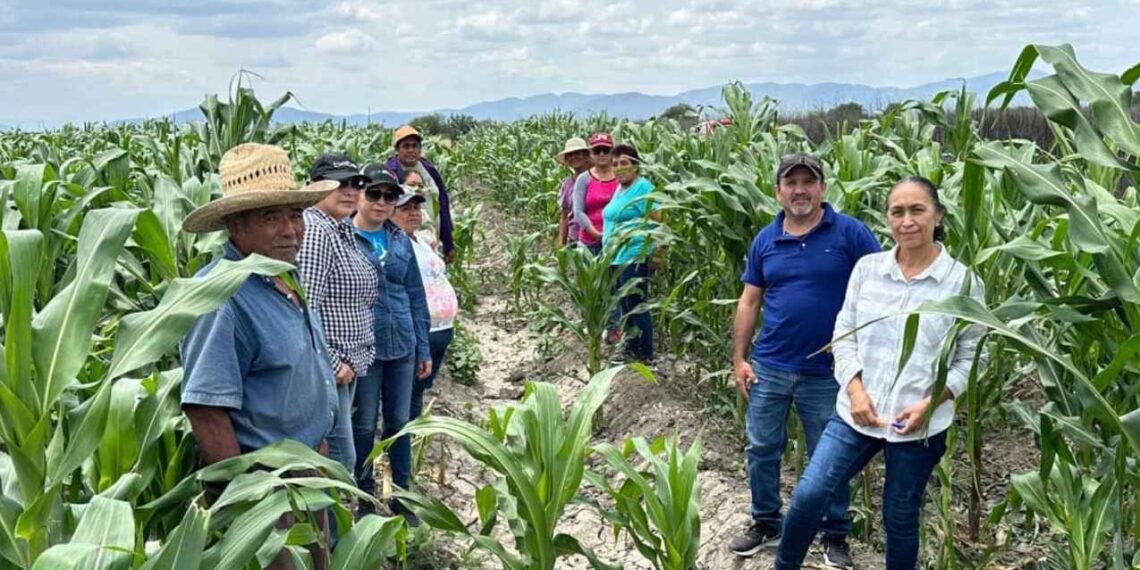 Tamaulipas desarrollo rural sustentable
