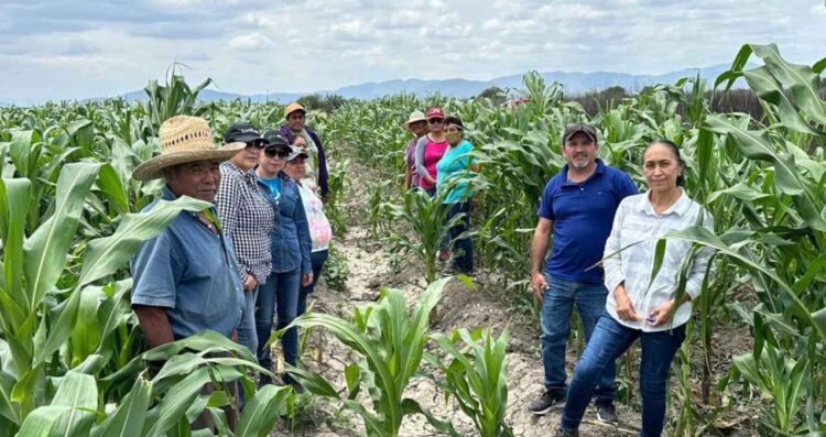 Tamaulipas desarrollo rural sustentable