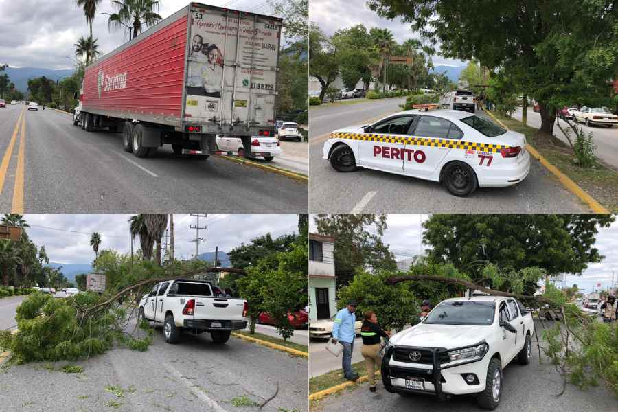 Tractocamión de Soriana en Victoria (1)