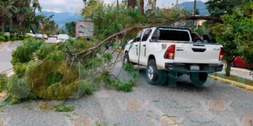 Tractocamión de Soriana en Victoria