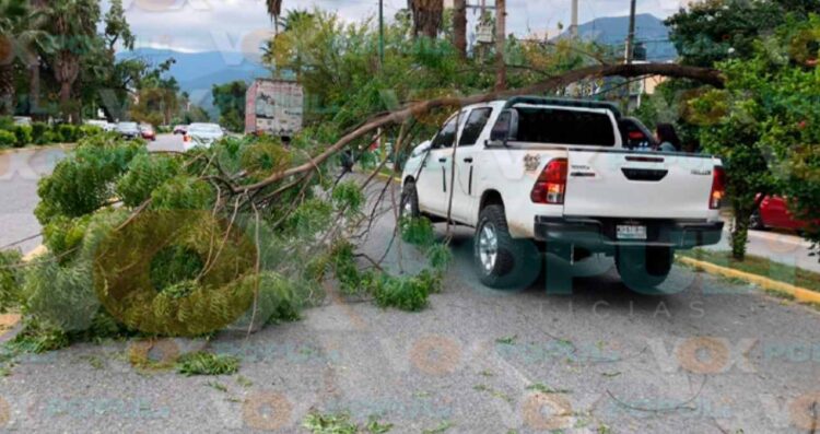 Tractocamión de Soriana en Victoria