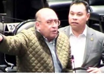 influencer pleno Cámara de Diputados