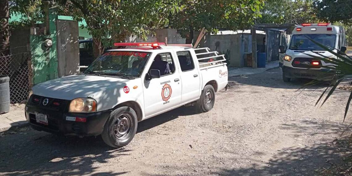 _atacados por abejas en El Mante