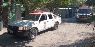 _atacados por abejas en El Mante