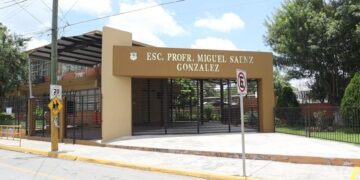 ataque de abejas en primaria de Matamoros