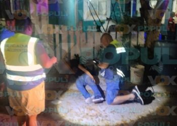 atropellamiento en altamira