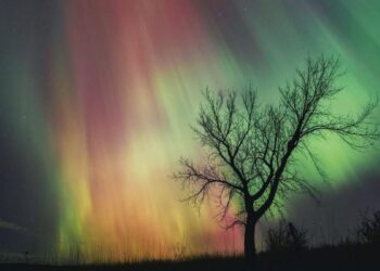 _auroras boreales en México