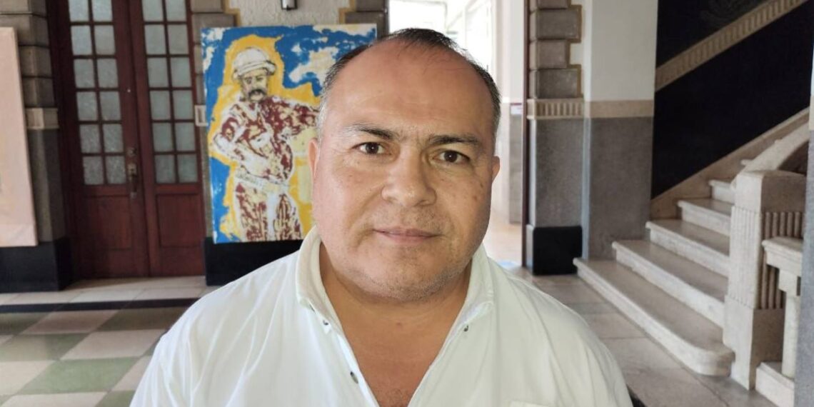 avistamientos de cocodrilos Tampico