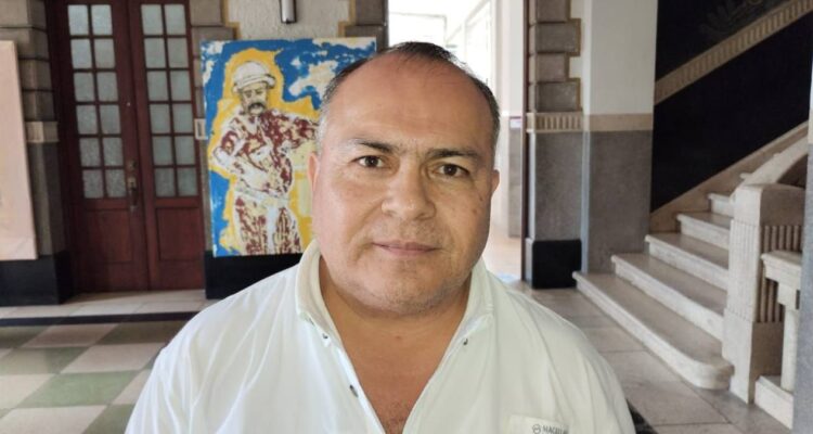 avistamientos de cocodrilos Tampico