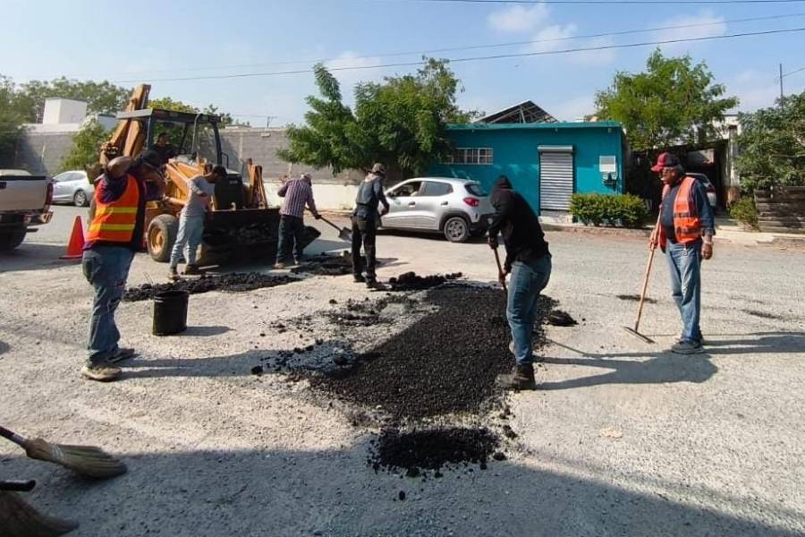 bacheo Ciudad Victoria Tamaulipas