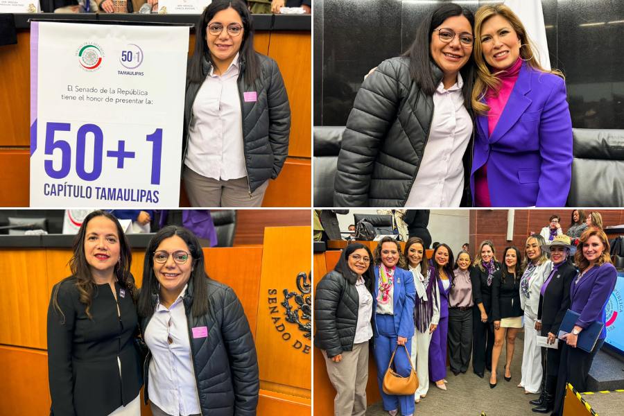 capítulo 50+1 tamaulipas