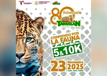carrera corriendo por la fauna en tamaulipas