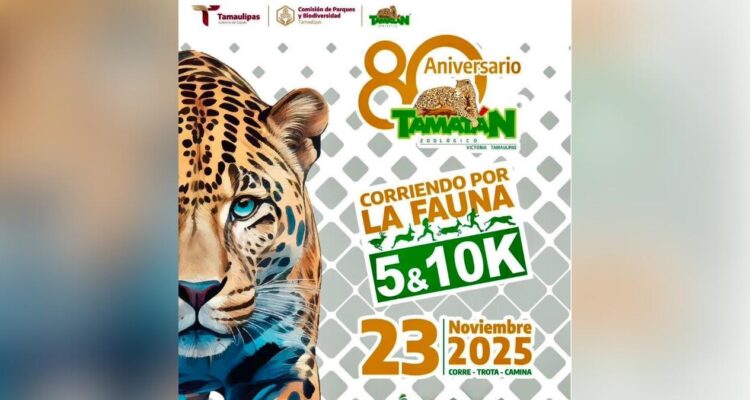 carrera corriendo por la fauna en tamaulipas