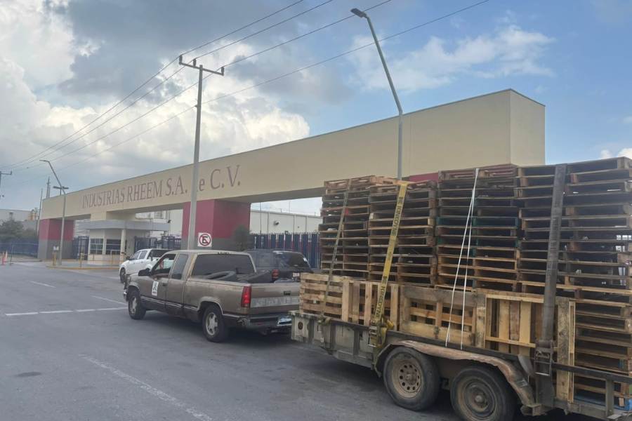 casas para perros callejeros en nuevo laredo