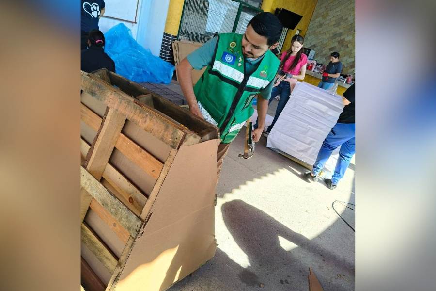 casas para perros callejeros en nuevo laredo