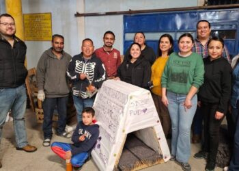 casas para perros callejeros en nuevo laredo
