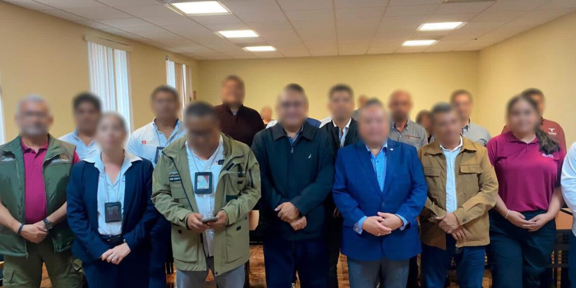 comité de vigilancia ambiental en tamaulipas