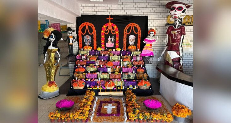 día de muertos en cedes altamira