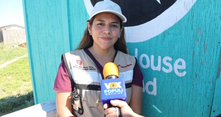 esterilización de perros y gatos Matamoros