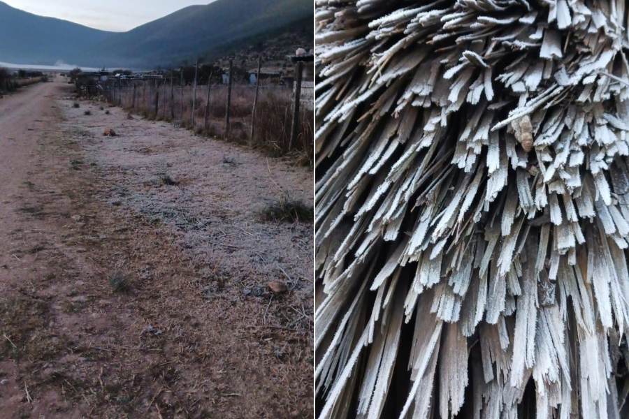 helada en miquihuana tamaulipas