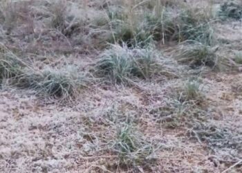helada en miquihuana tamaulipas